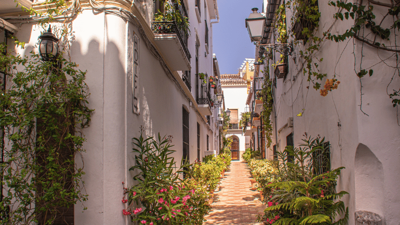 Side street of white villas in Marbella with decorative plants lining the walkway.