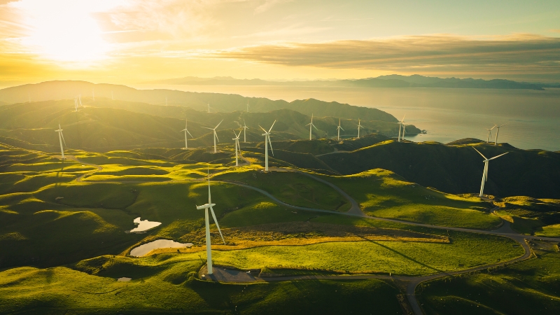 Reducing Your Business Carbon Footprint