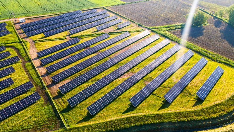 Reducing Your Business Carbon Footprint