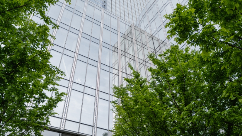 Reducing Your Business Carbon Footprint