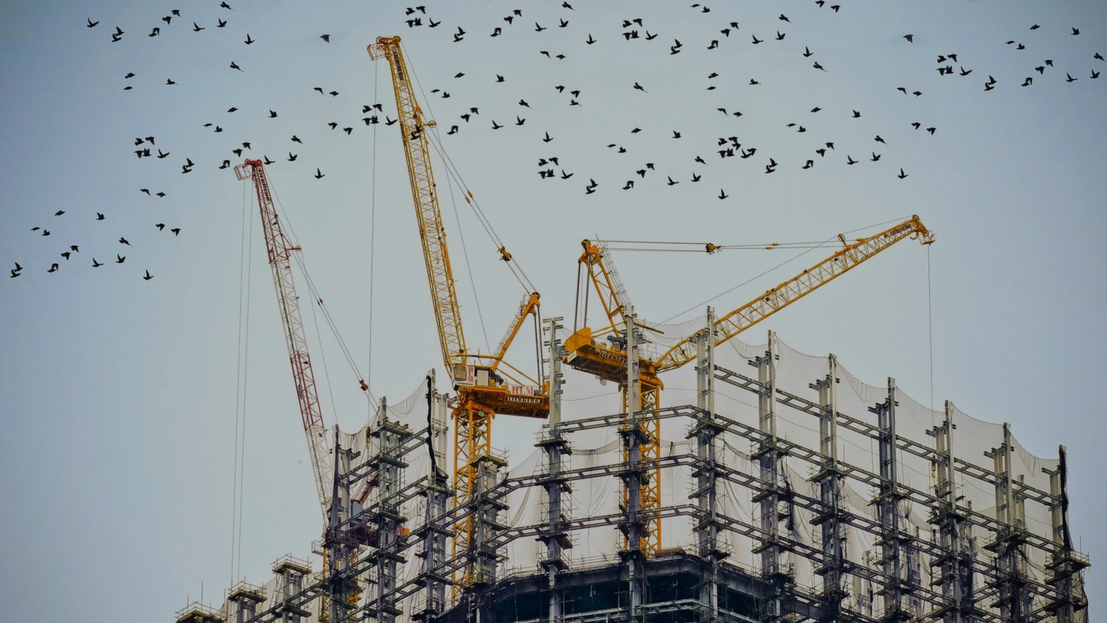 ground-up-development